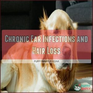 Chronic Ear Infections and Hair Loss Chronic Ear Infections and Hair Loss