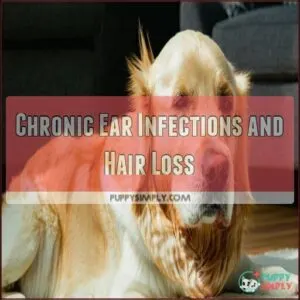 Chronic Ear Infections and Hair Loss