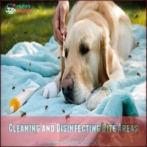 Cleaning and Disinfecting Bite Areas