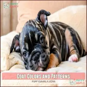 Coat Colors and Patterns