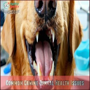 Common Canine Dental Health Issues