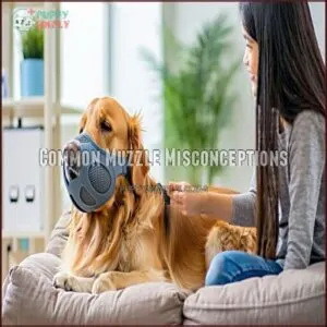 Common Muzzle Misconceptions