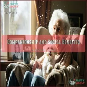 Companionship and Social Benefits