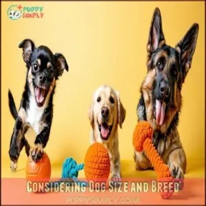 Considering Dog Size and Breed