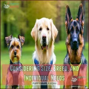 Considering Size, Breed, and Individual Needs