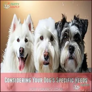 Considering Your Dog