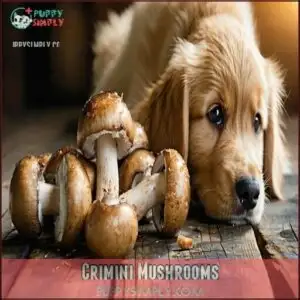 Crimini Mushrooms