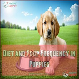 Diet and Poop Frequency in Puppies