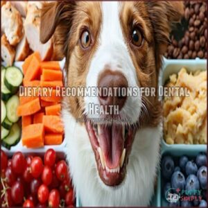 Dietary Recommendations for Dental Health