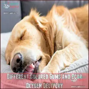 Different Colored Gums and Poor Oxygen Delivery