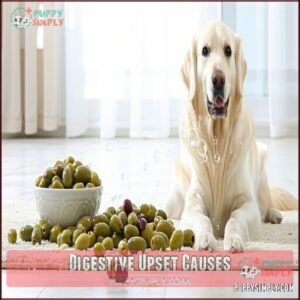 Digestive Upset Causes