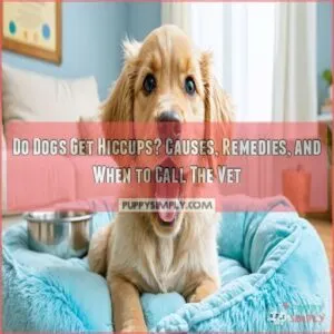 do dogs get hiccups