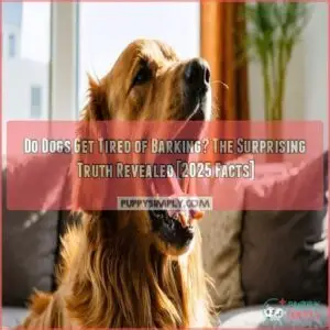 do dogs get tired of barking