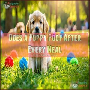 Does a Puppy Poop After Every Meal