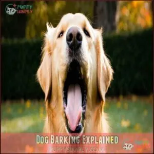 Dog Barking Explained
