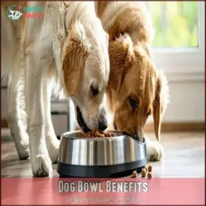 Dog Bowl Benefits