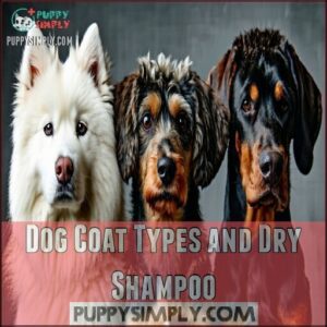 Dog Coat Types and Dry Shampoo