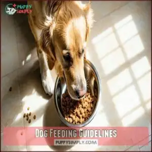 Dog Feeding Guidelines