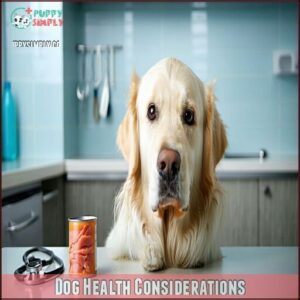 Dog Health Considerations