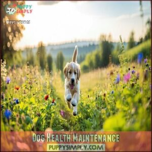 Dog Health Maintenance