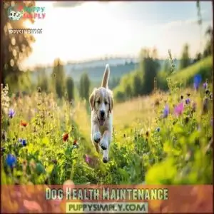 Dog Health Maintenance