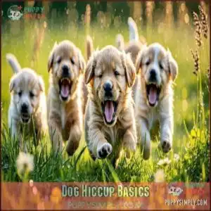 Dog Hiccup Basics