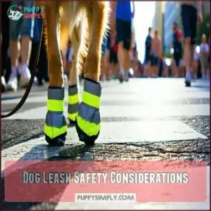Dog Leash Safety Considerations