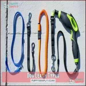 Dog Leash Types