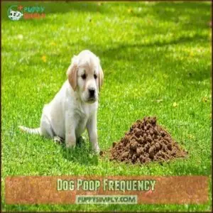 Dog Poop Frequency