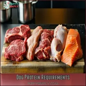 Dog Protein Requirements