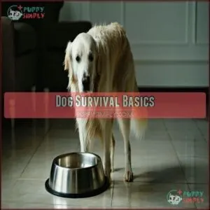 Dog Survival Basics