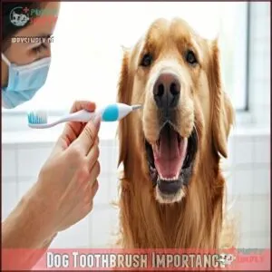 Dog Toothbrush Importance