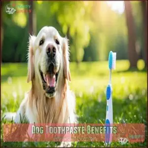 Dog Toothpaste Benefits