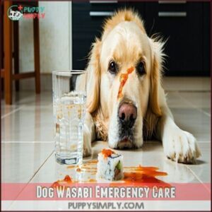 Dog Wasabi Emergency Care