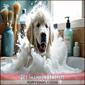 Dry Shampoo Benefits