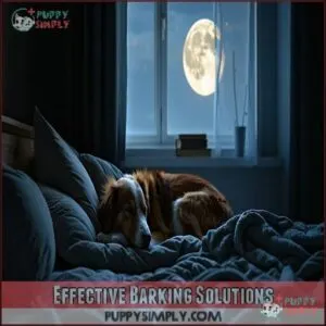 Effective Barking Solutions
