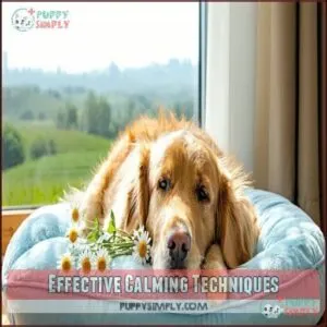 Effective Calming Techniques