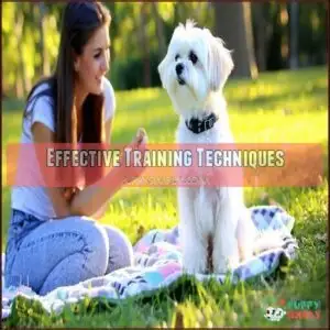Effective Training Techniques