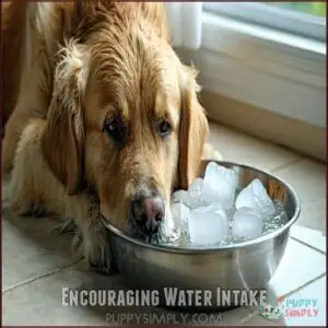 Encouraging Water Intake