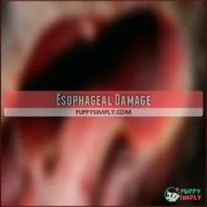 Esophageal Damage