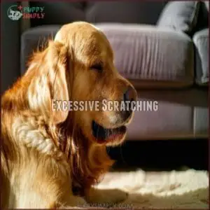 Excessive Scratching