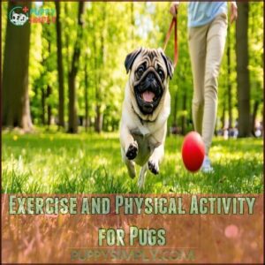 Exercise and Physical Activity for Pugs