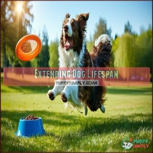 Extending Dog Lifespan