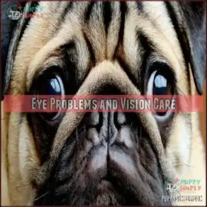 Eye Problems and Vision Care