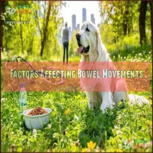 Factors Affecting Bowel Movements