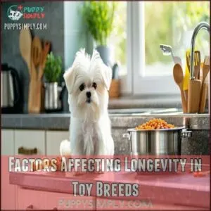 Factors Affecting Longevity in Toy Breeds