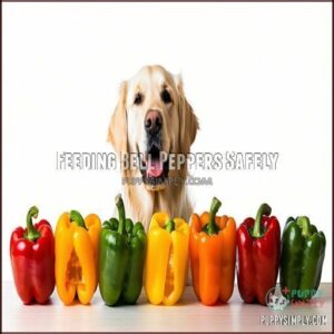Feeding Bell Peppers Safely