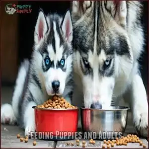 Feeding Puppies and Adults