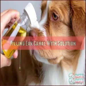 Filling Ear Canal With Solution