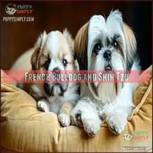 French Bulldog and Shih Tzu